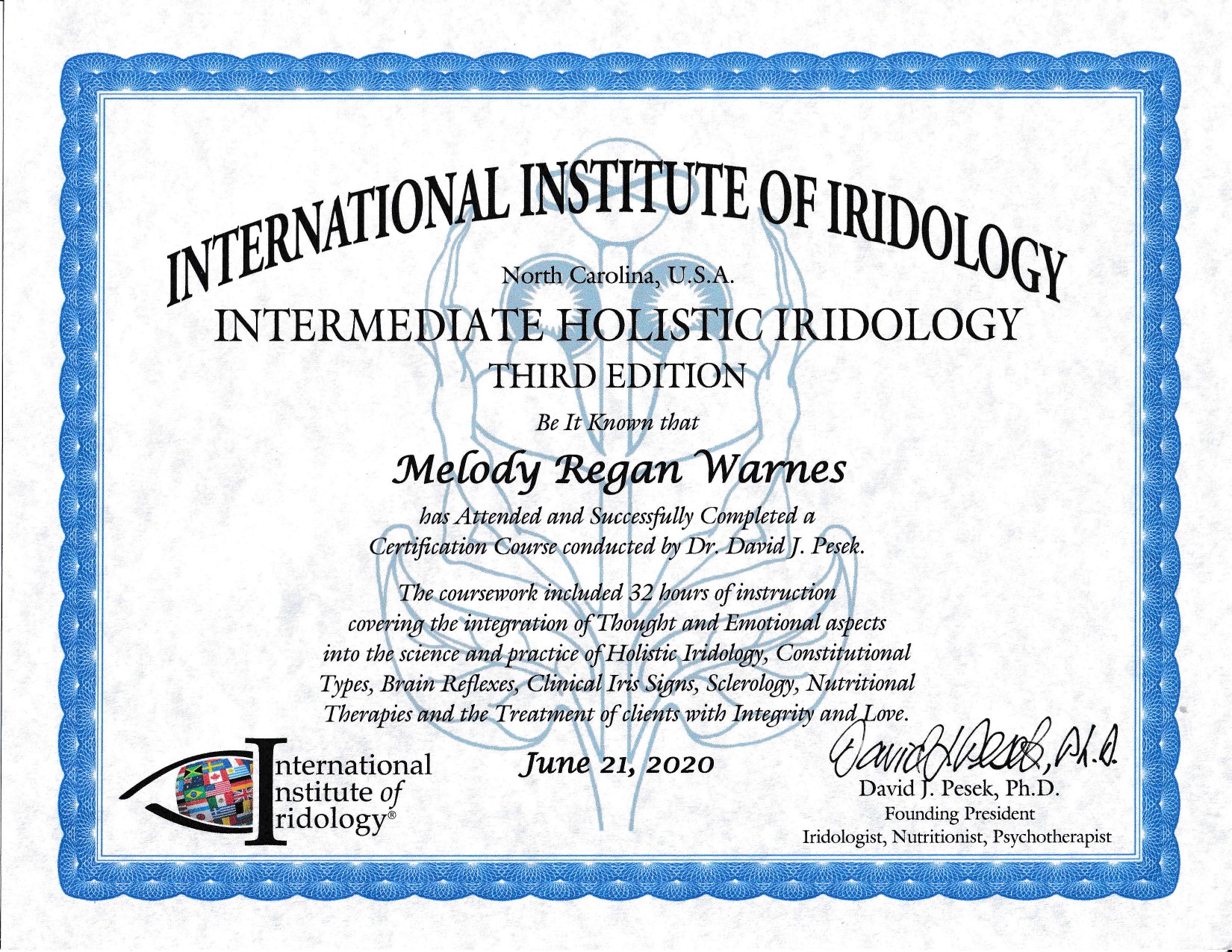 Intermediate Holistic Iridology certification